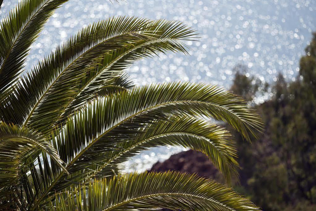 Tiara Yaktsa Cote D'Azur Hotel Théoule-sur-Mer Buitenkant foto